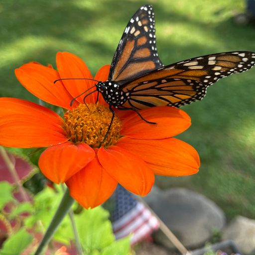 Deep Grooves from the Grove " Lift Mix"