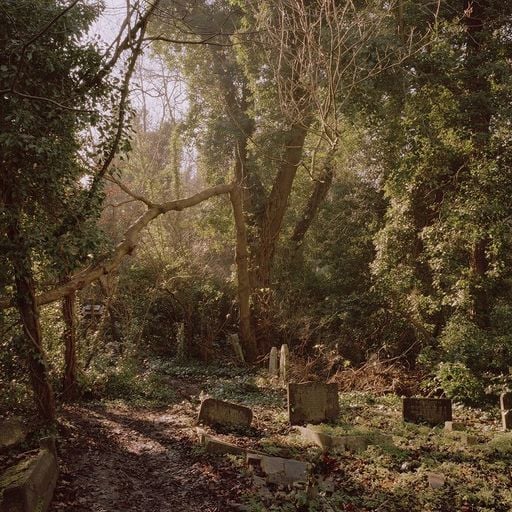 VERNAL EQUINOX W/ GEORGE SELLEY - 7th May 2025