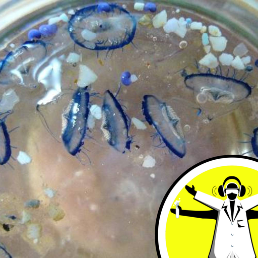 Naked Oceans - From Plastics to Poo