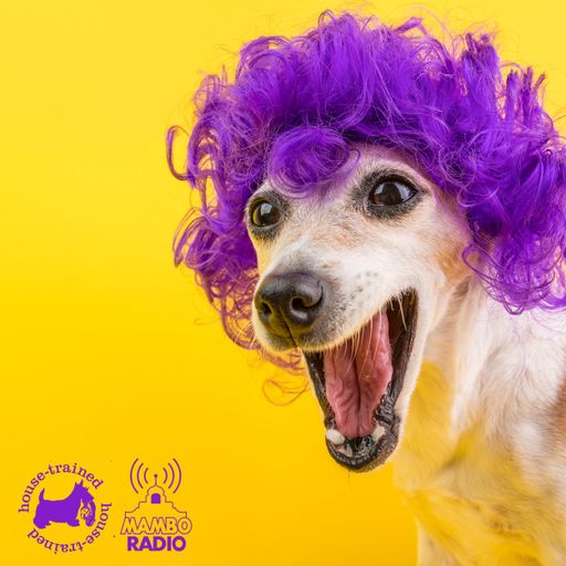 Café Mambo Radio - House Trained Show Episode 20 [80s Xmas Party Special] (20/12/19)