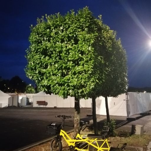 DREADheadz DUB´n´Reggae 17 EXT homerec 149 am 5.8.2025