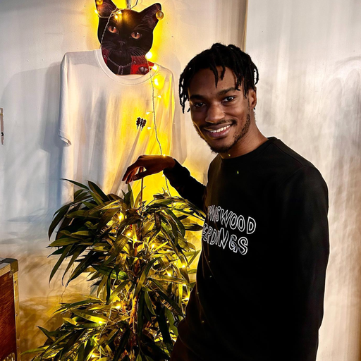 Elmaris Treasure Box - 11/01/23