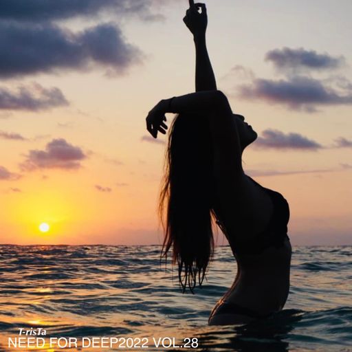 "New" Best Of Vocal Deep House & Chillout SUMMER MIX | NEED FOR DEEP2022 Vol.28 Mixed by Dj T-risTa
