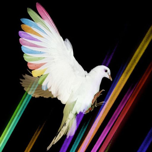 Warehouse Project mix - promo mix