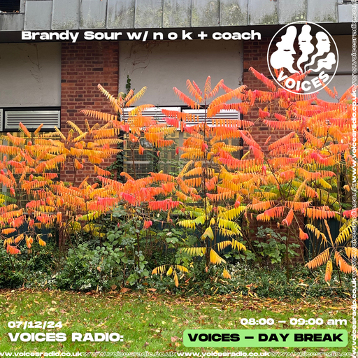 Brandy Sour w/ nok + coach - 07/12/24 [Voices Radio]