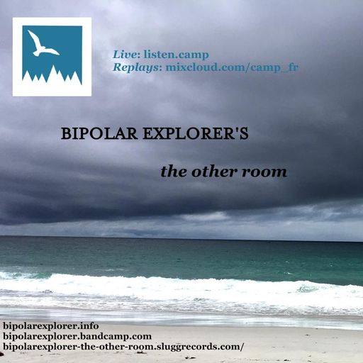 Bipolar Explorer’s “The Other Room” / 15th July 2025