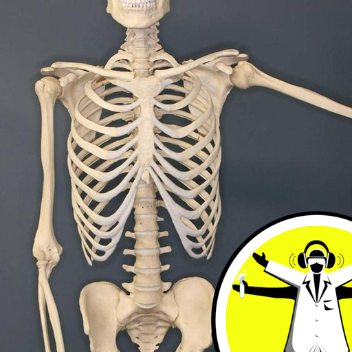 Boosting Your Bones