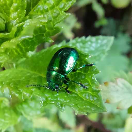 Thirsty Thursday DnB sessions (24/08/23)