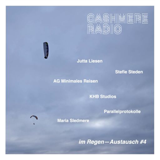 im Regen–Austausch im Regen—Austausch #4 17.06.2024