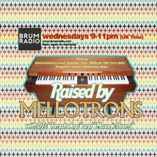 Raised by Mellotrons With Tom and Natalie (30/01/2019)