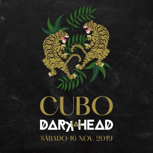 Cubo: Darkahead 16 nov. 2019