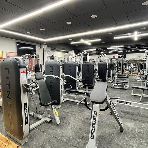 Premium Gym Equipment in Delhi: Build Your Dream Fitness Center Today