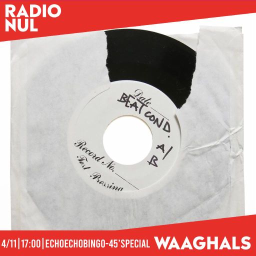 echo echo bingo w/ Daan & Luuk - Waaghals / 4-11-2021