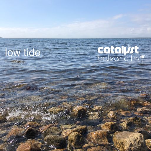 Low Tide (135)