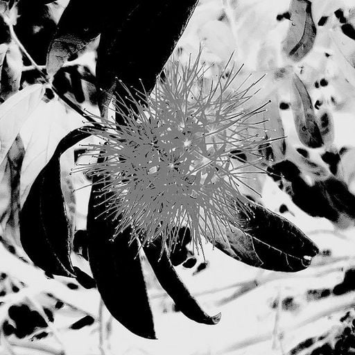 Fragrant Sacrifice w/ Naima Nefertari - 5th February 2026