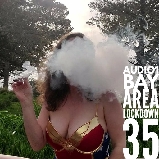 BAY AREA LOCKDOWN 35