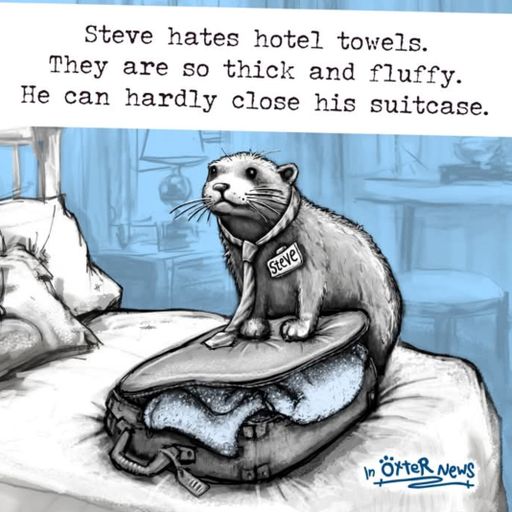 Steve Lewis Friday night "A game of two halves" friday 21st feb 2025