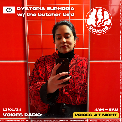 Dystopia Euphoria w/ shirke - 13/01/25 - [Voices Radio]