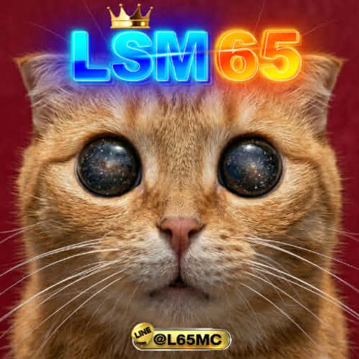 ไม่แข่งกับใครทั้งนั้น นี่ตัวท็อปไม่ใช่ตัวเลือก ตัวจริงต้องที่นี่ LSM65 24 ชม. [BPM160]