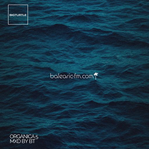 Organic Mix (005) (BigT)