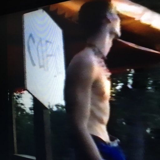 Lunatic Love Songs with Vladimir Ivkovic – Teutonic Funk