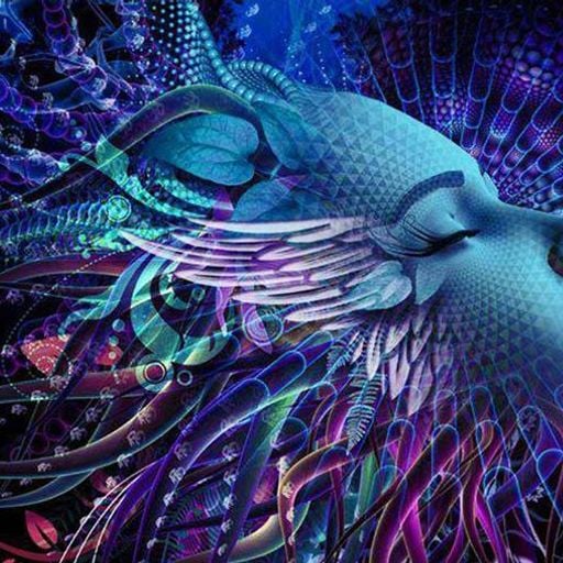 The Codex (ChillDubGlitch)