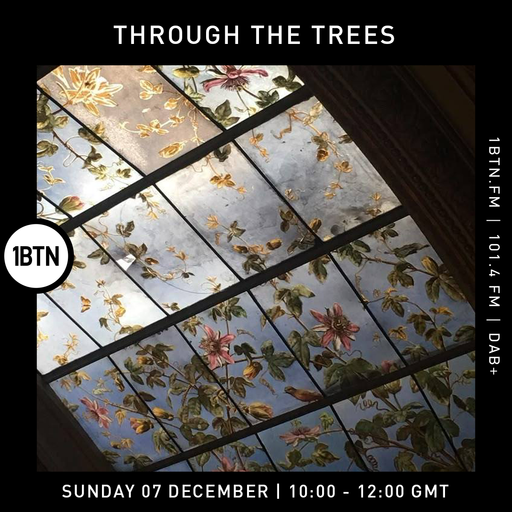 Through The Trees w/ Ty - 07.12.25