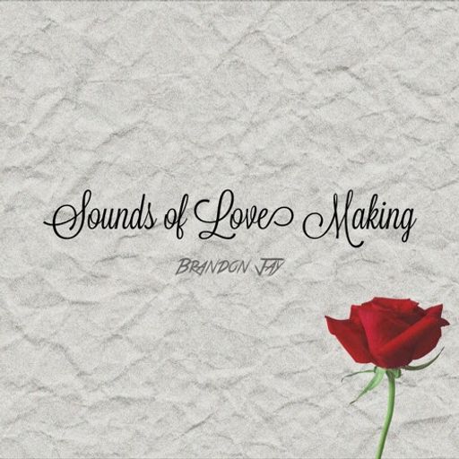 DJ Brandon Jay - Sounds of Love Making