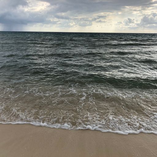The Wreck - January 18, 2018