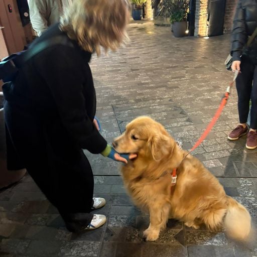 The New Music Show w/ D4ISY - 27/02/26 [Voices Radio]