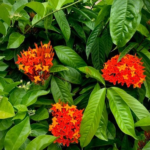 Dousman - DOUSMAN Radio: TVRBO - 25th September 2025