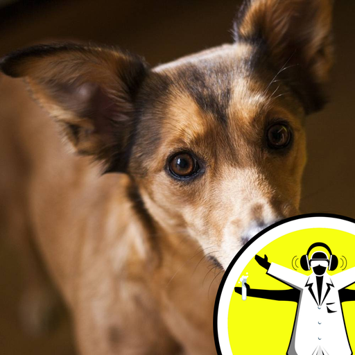 A Dog's Life: Intelligence and Inbreeding