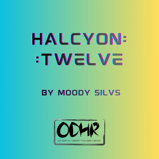 DJ Moody Silvs- Halcyon 12