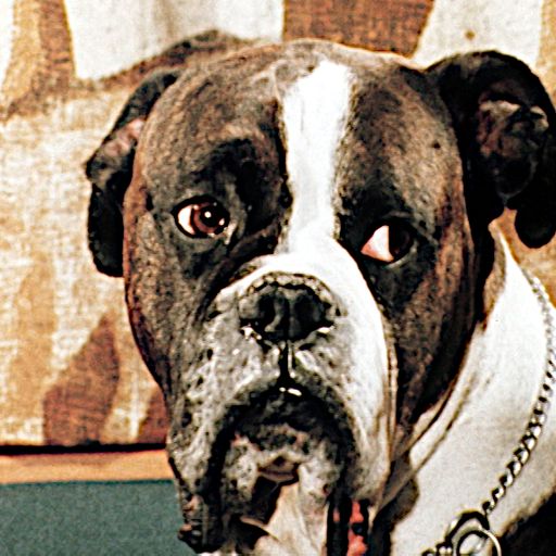 Adam Curtis & God Colony - 17th October 2025