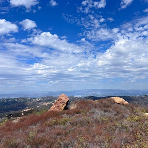 VINSON - RBG Radio - 8th October 2025