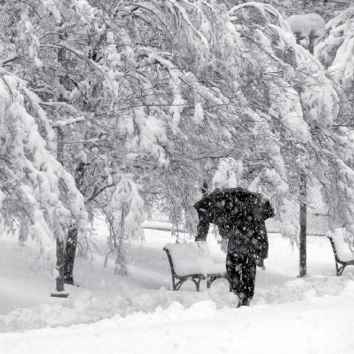 SLY (Chinese Man) - Inverno