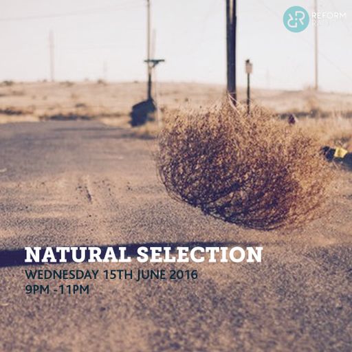 Natural Selection 15th June 2016