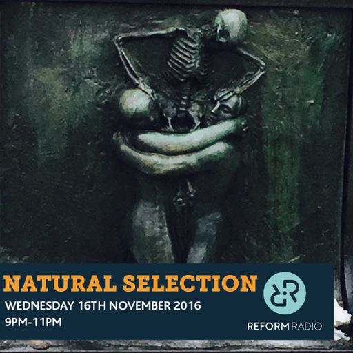 Natural Selection 16th November 2016