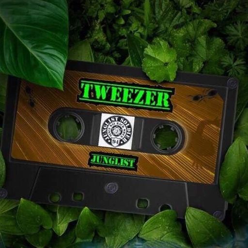 Moving Into the Jungle