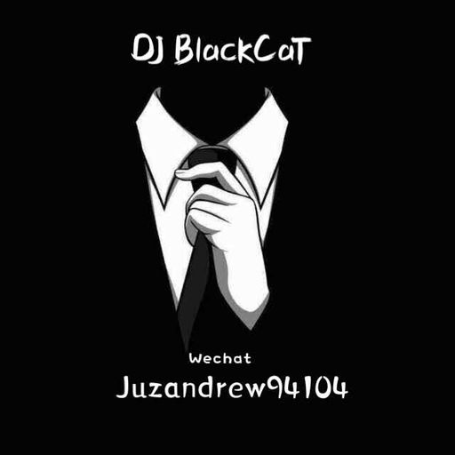 【我跟你讲hor,昨天我不知道喝了多少我也不知道我在哪里,我只知道我一直跟我朋友讲说我hou lan bai啊!】NonStop Remix By DJ BlackCaT 2K!9 RemiX !