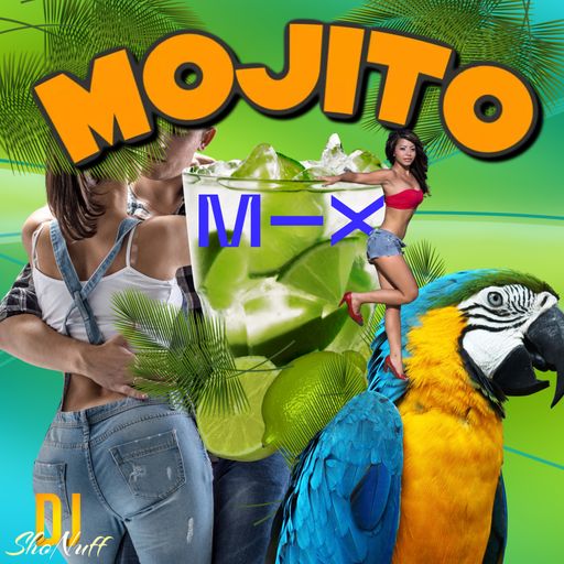 THE RAGGAETON MOJITO 4SHO MIX