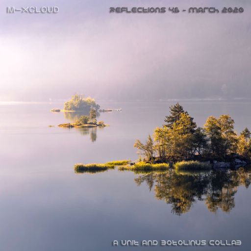 Reflections 46 March 2020 (a unit & botolinus collab)