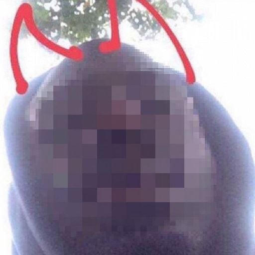 Oh Oh w KO_OL & Co - 6th February 2026