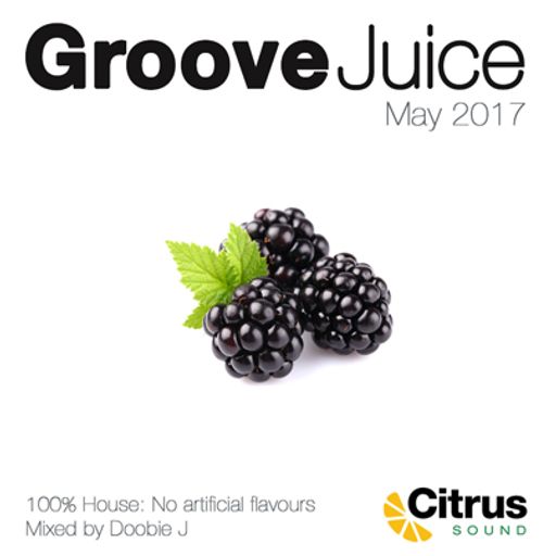 Groove Juice Blackberry - May 2017