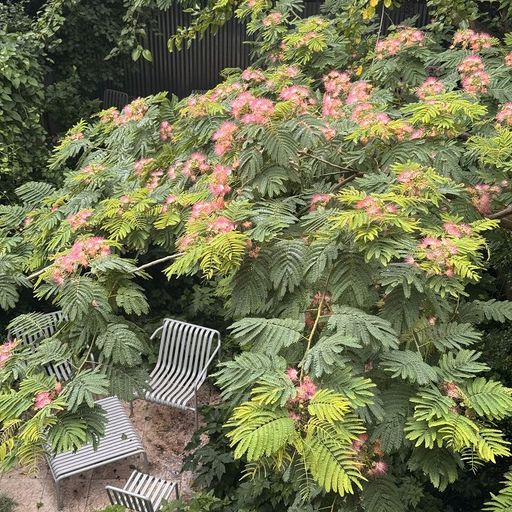 Tender Territory w/ Kath - 28th December 2025