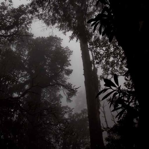 LeYan - Four Notes Melancholic Mix