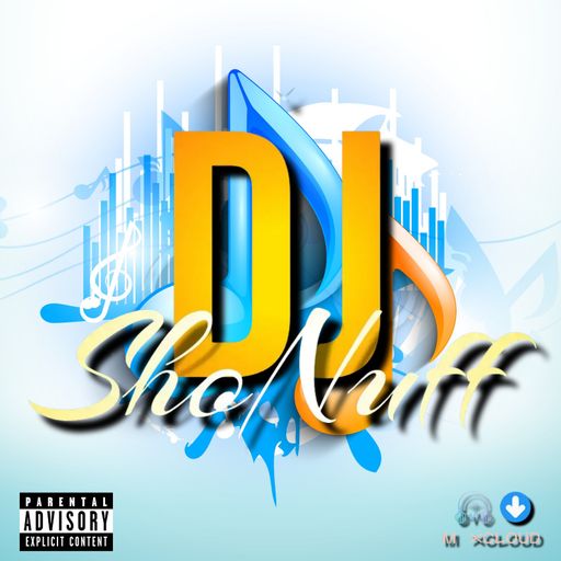 DJ SHONUFF CLASSIC URBAN GREATEST HITS MASTER MIX (VOL 1)