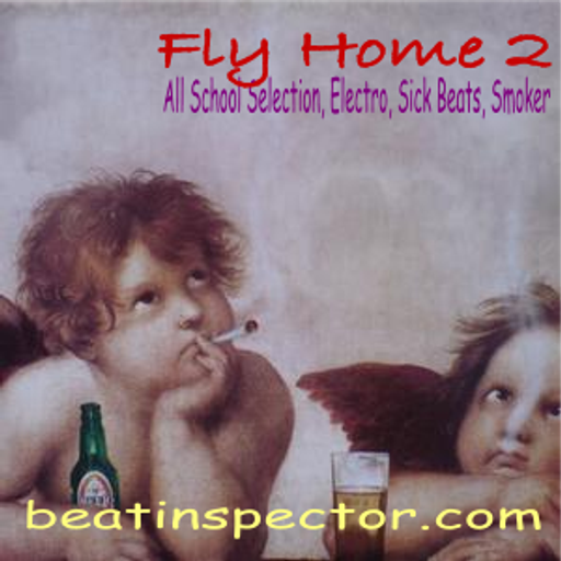 Fly Home 2