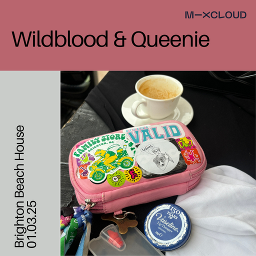 Wildblood and Queenie: Brighton Beach House 01.03.25