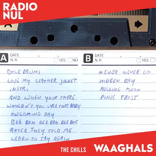 The Chills (live in Auckland, NZ) - Waaghals / 1984
